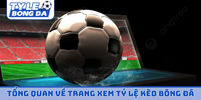 Tổng quan về trang xem tỷ lệ kèo bóng đá