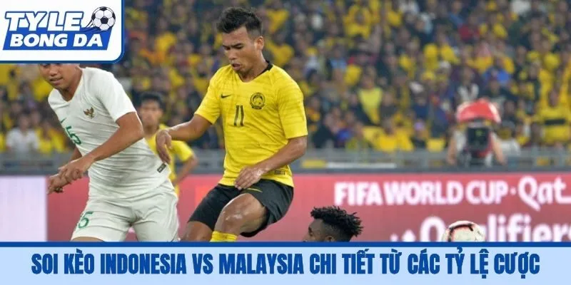 Soi kèo Indonesia vs Malaysia chi tiết từ các tỷ lệ cược
